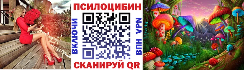 где найти наркотики  Белово  Псилоцибиновые грибы Psilocybine cubensis 