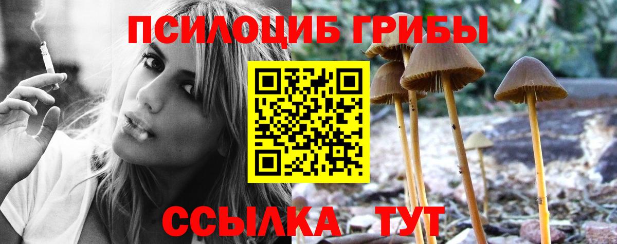 Галлюциногенные грибы Psilocybine cubensis Белово