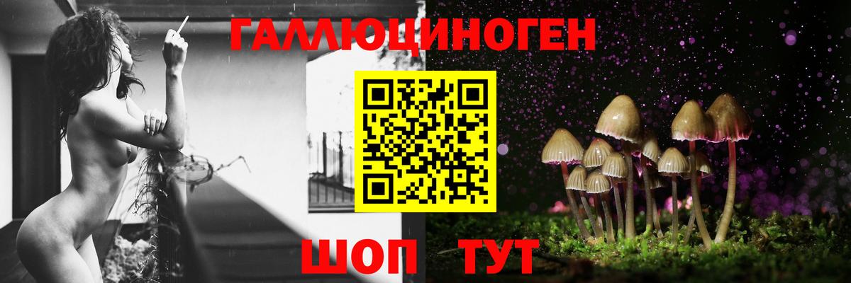 Галлюциногенные грибы Psilocybe  Вход с VPN  Белово 